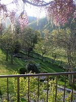 Spring - The Garden in Spring